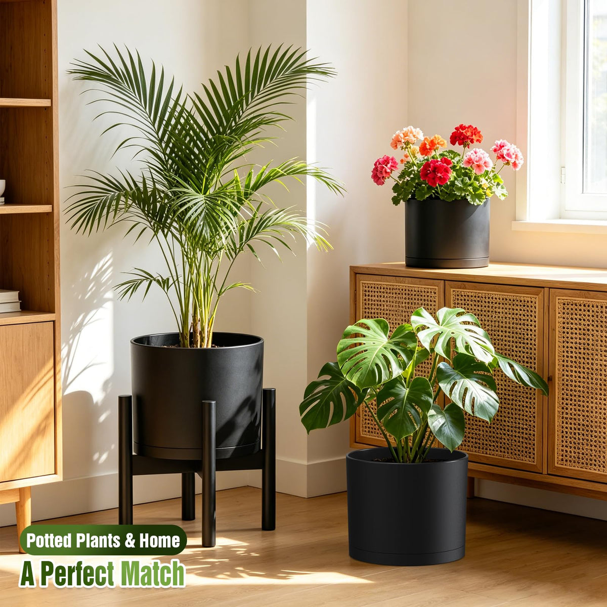 Areutxbis pots trio side view showing graduated heights for varied plants.