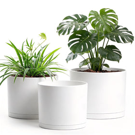 Areutxbis trio pots 10-9-8 inch in matte white for a cohesive plant display.