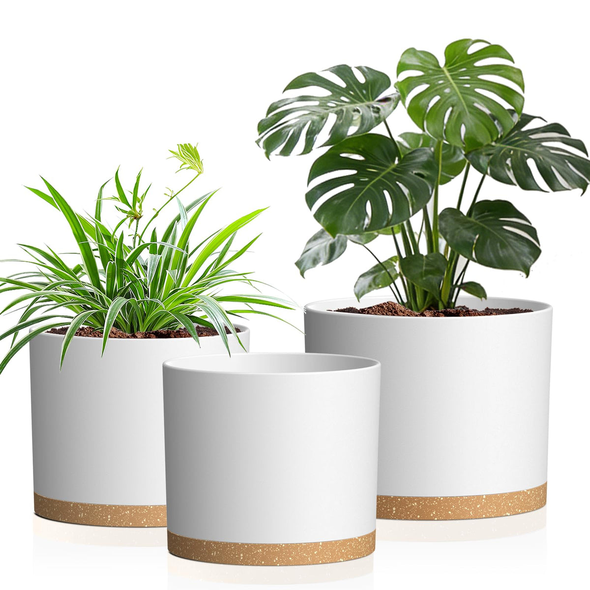 Areutxbis trio pots in matte white and brown for cohesive indoor styling