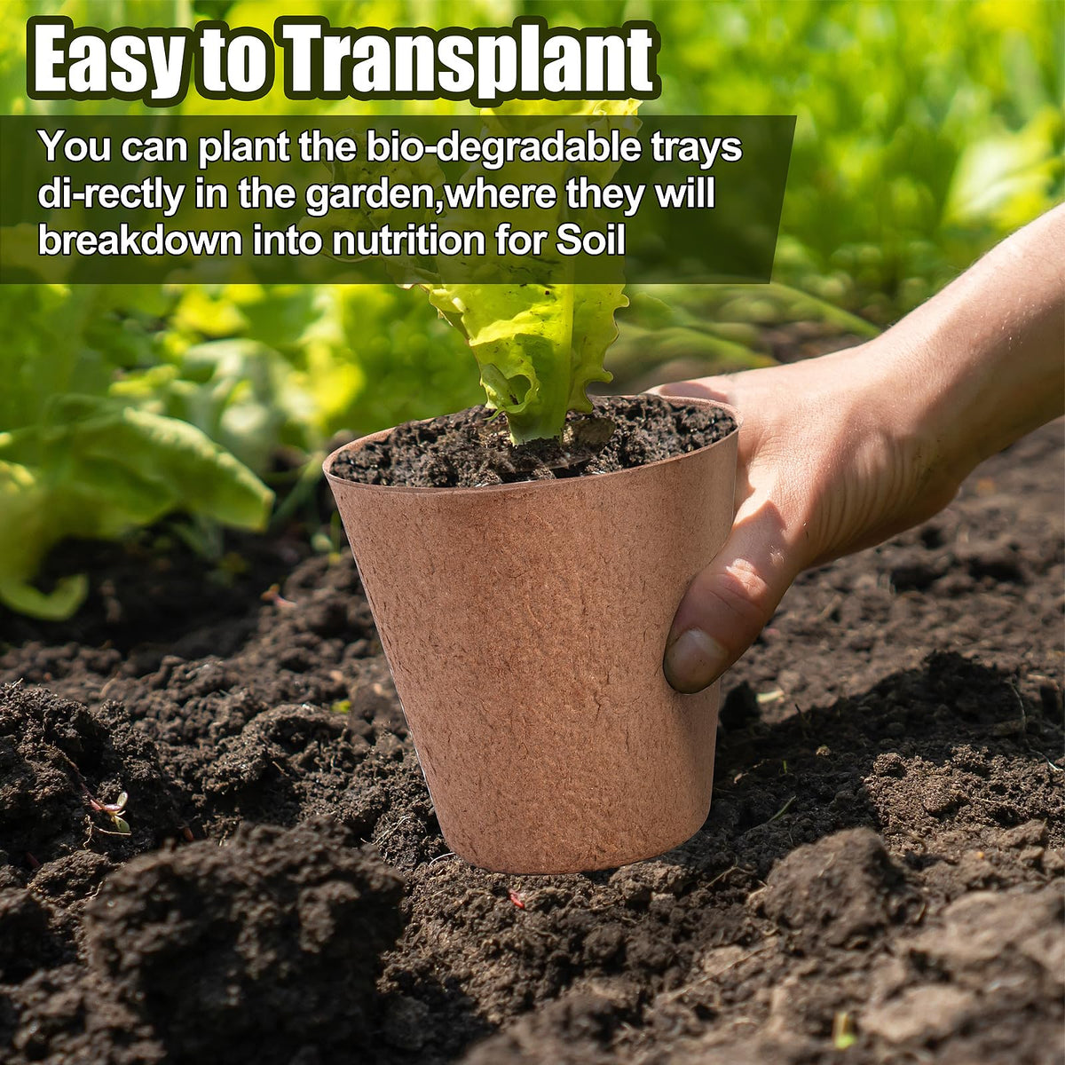 Biodegradable seed starter pots by ARGCONNER promote healthier root development.