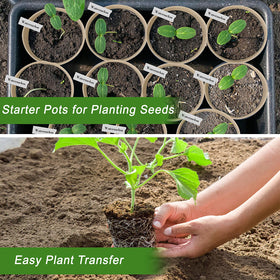 ARGCONNER bottom drainage holes prevent overwatering and improve soil aeration.