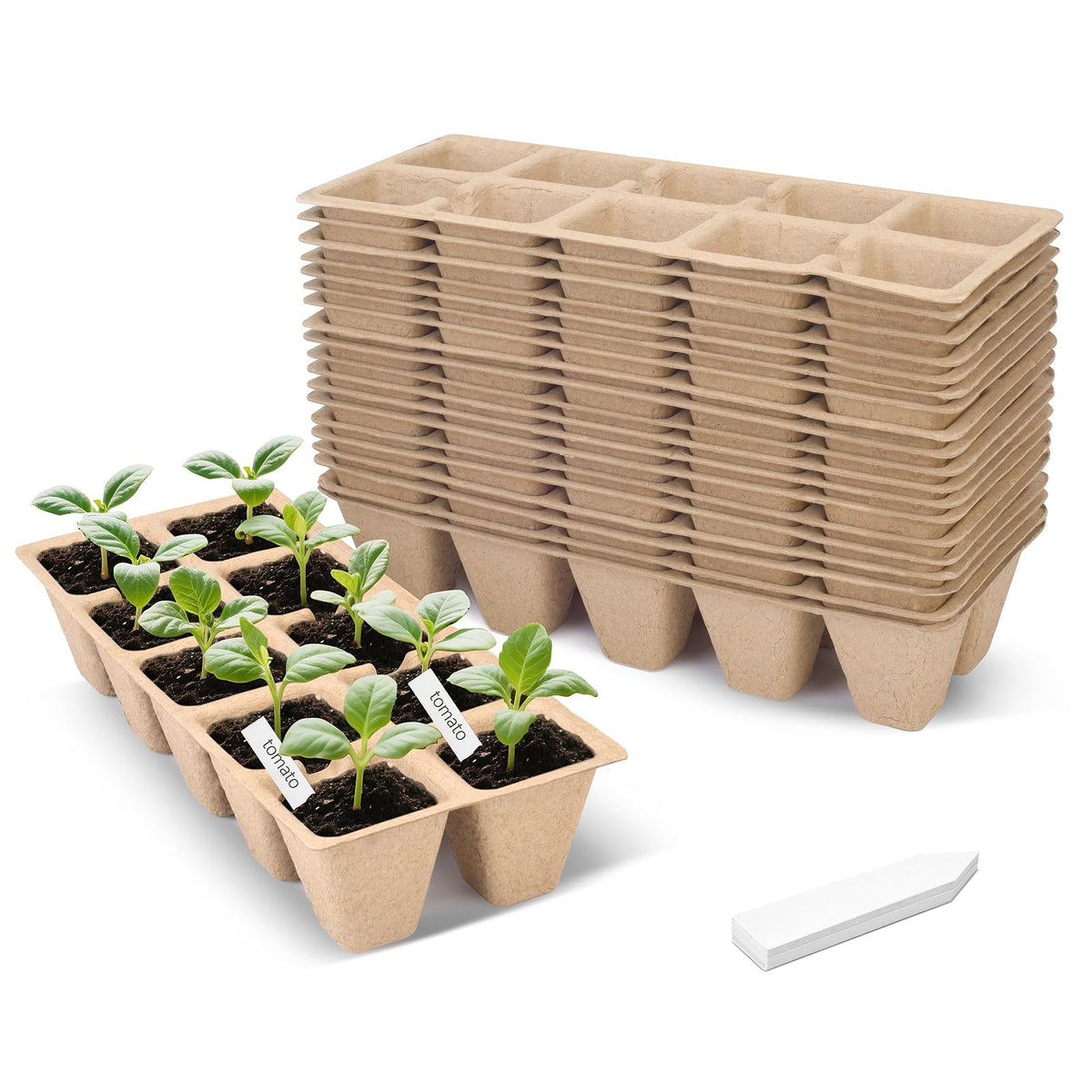 ARGCONNER peat pots set with 200-cell seed starter tray for organized germination