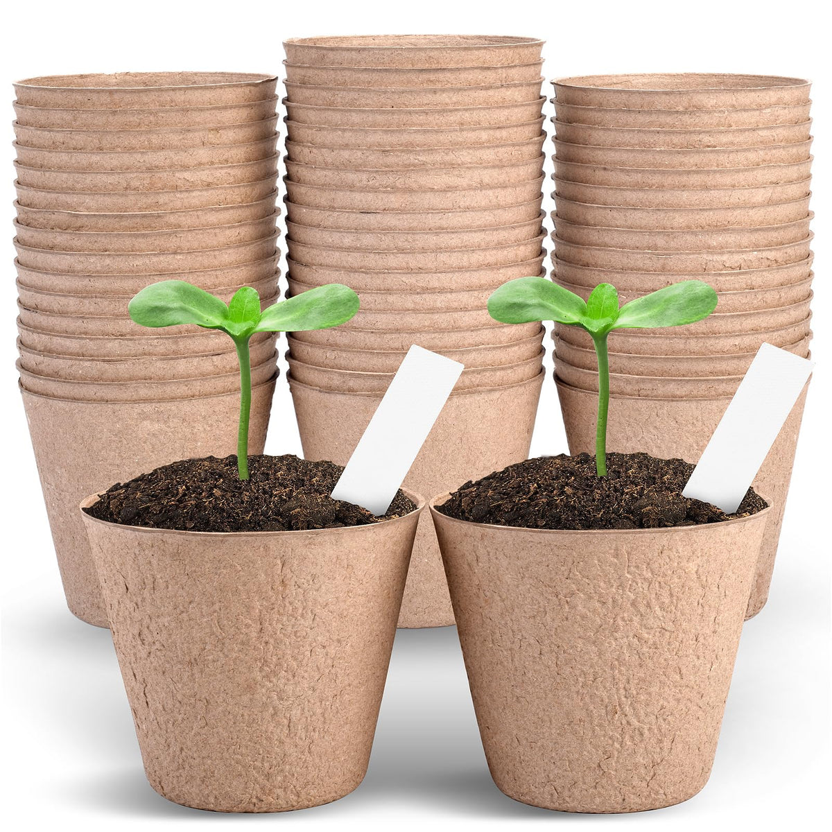 ARGCONNER 4-inch peat pots for seed starting with airy roots and simple transplanting.