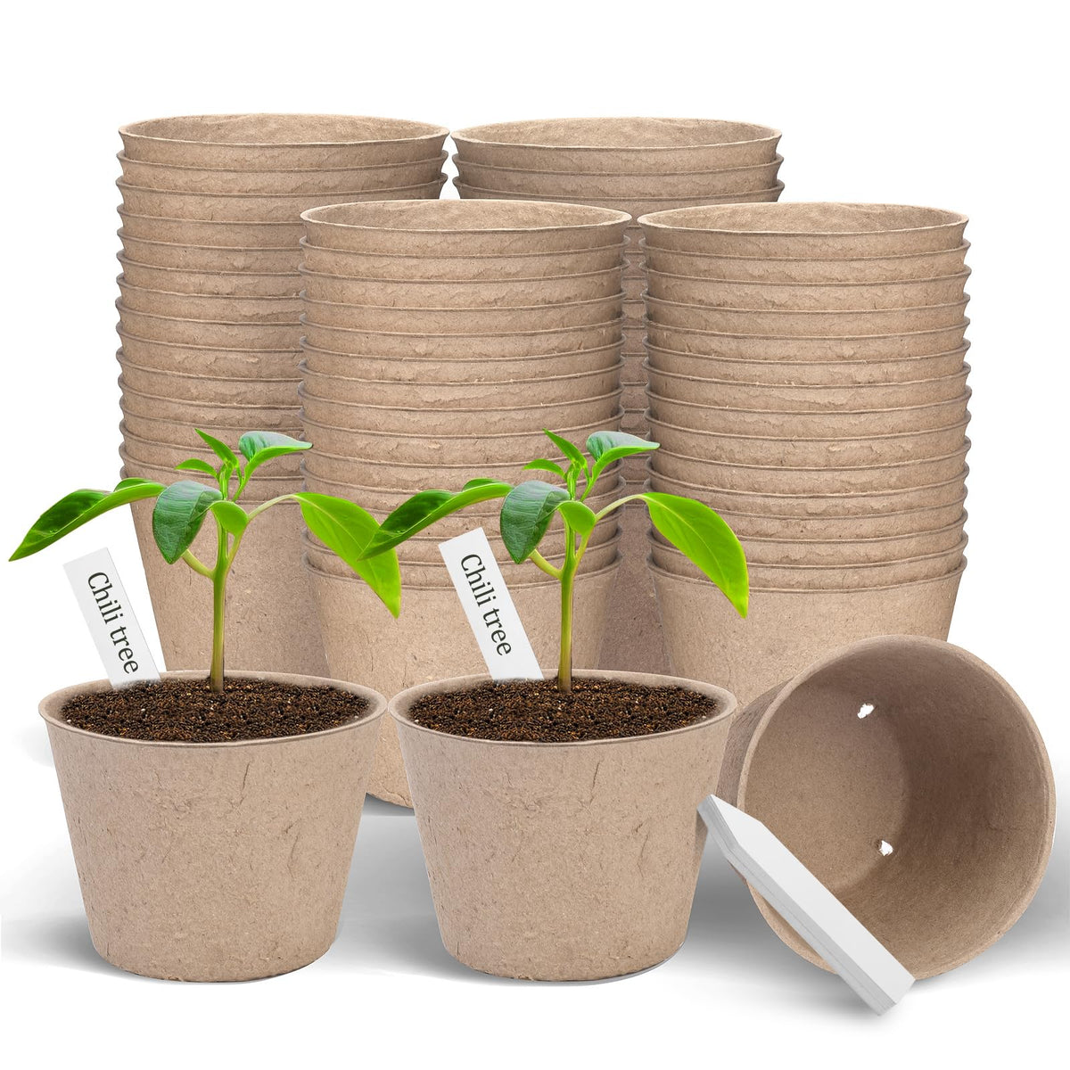 ARGCONNER peat pots 4-inch with drainage holes support strong early root development.