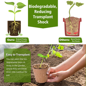 ARGCONNER plant labels 10-pack helps mark seedlings during germination.