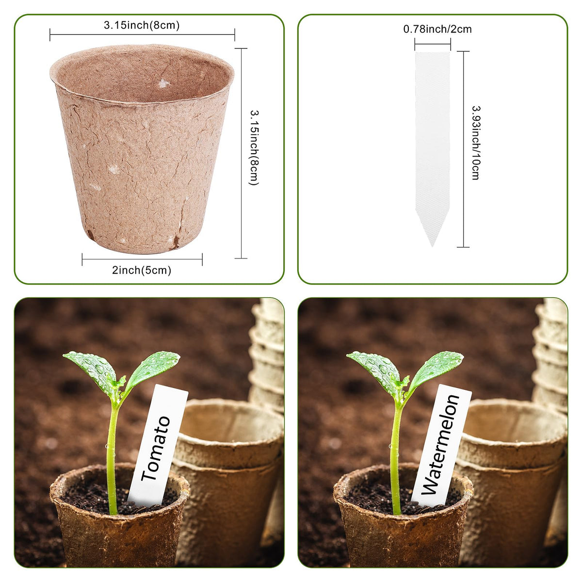 ARGCONNER seedling transplant in soil illustration highlights easy root-friendly transfer.