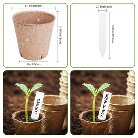 ARGCONNER seedling transplant in soil illustration highlights easy root-friendly transfer.