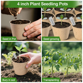 ARGCONNER versatile starter pots suited for vegetables, herbs, flowers, and succulents.