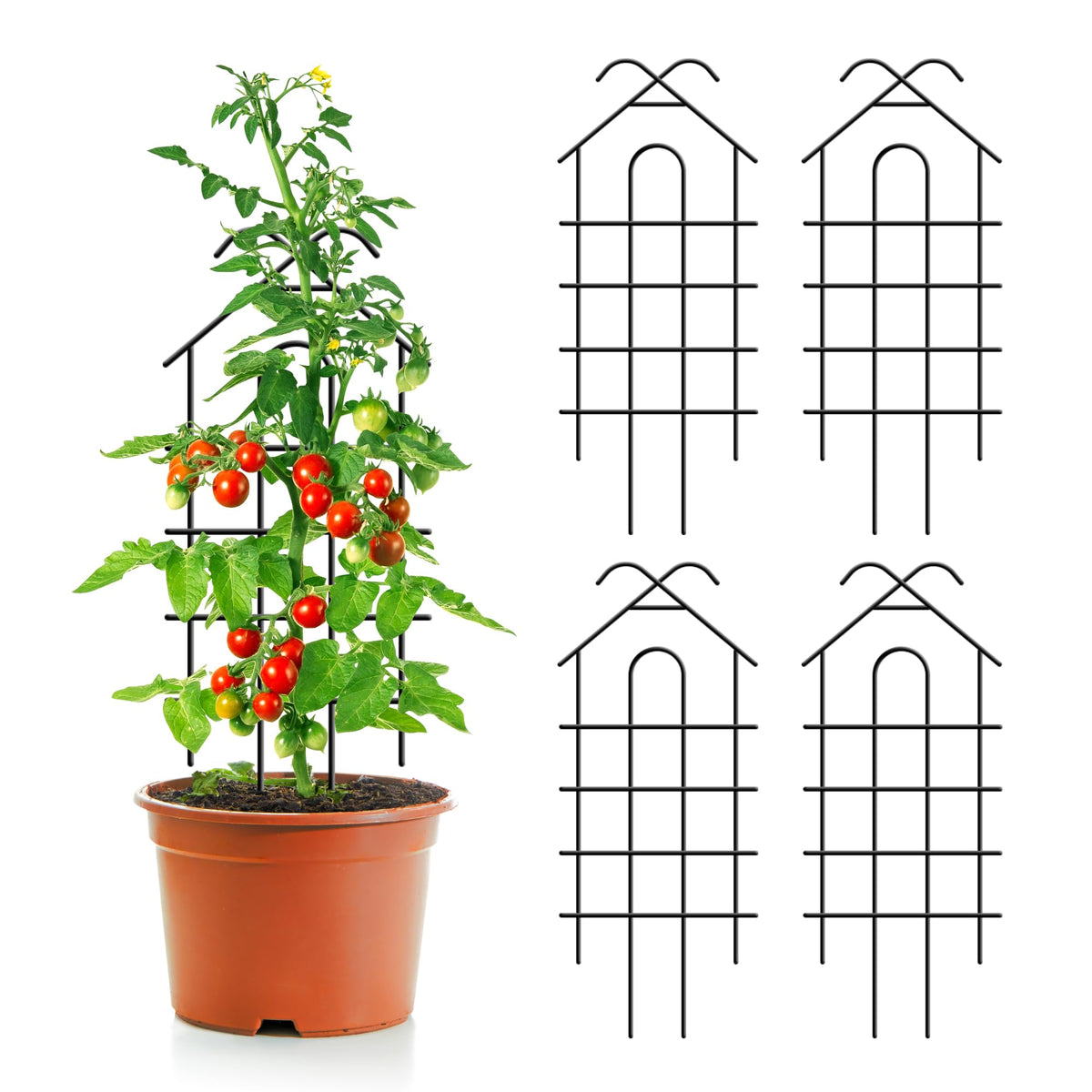 ARIFARO 24-inch metal trellis supports climbing plants in pots.