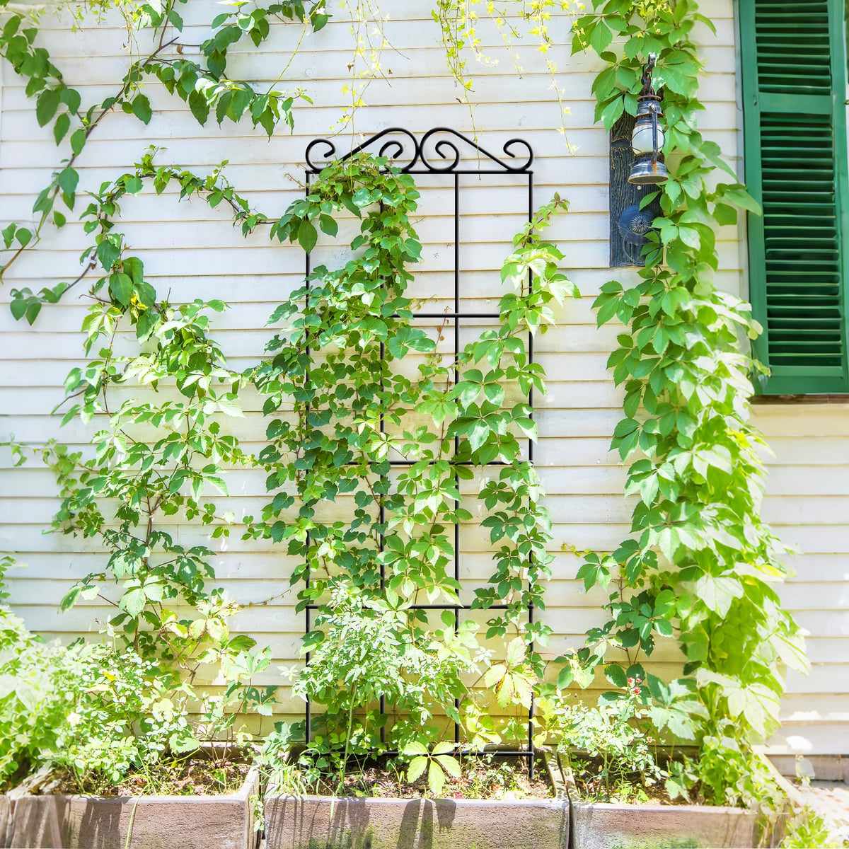 ARIFARO 37.5-inch trellis for potted plants highlights adjustable setup for flexibility.