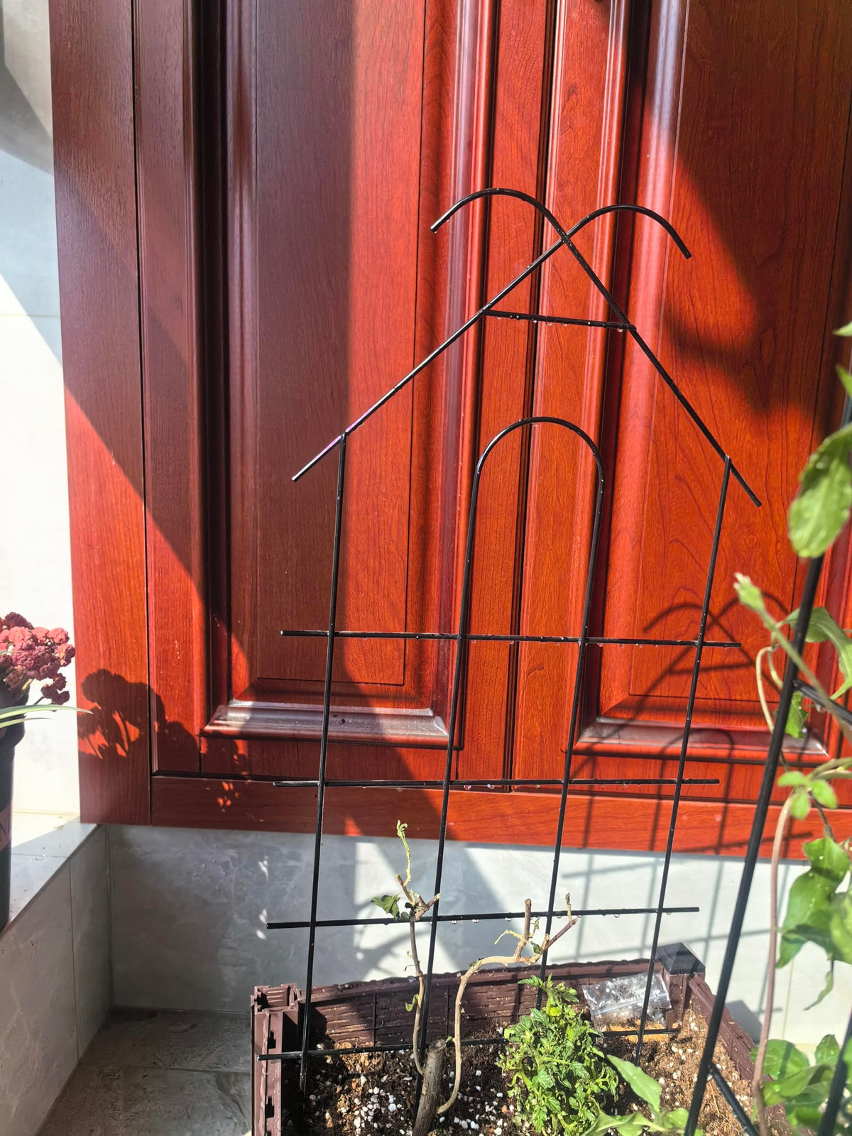 ARIFARO climbing plant trellis suitable for roses and clematis.