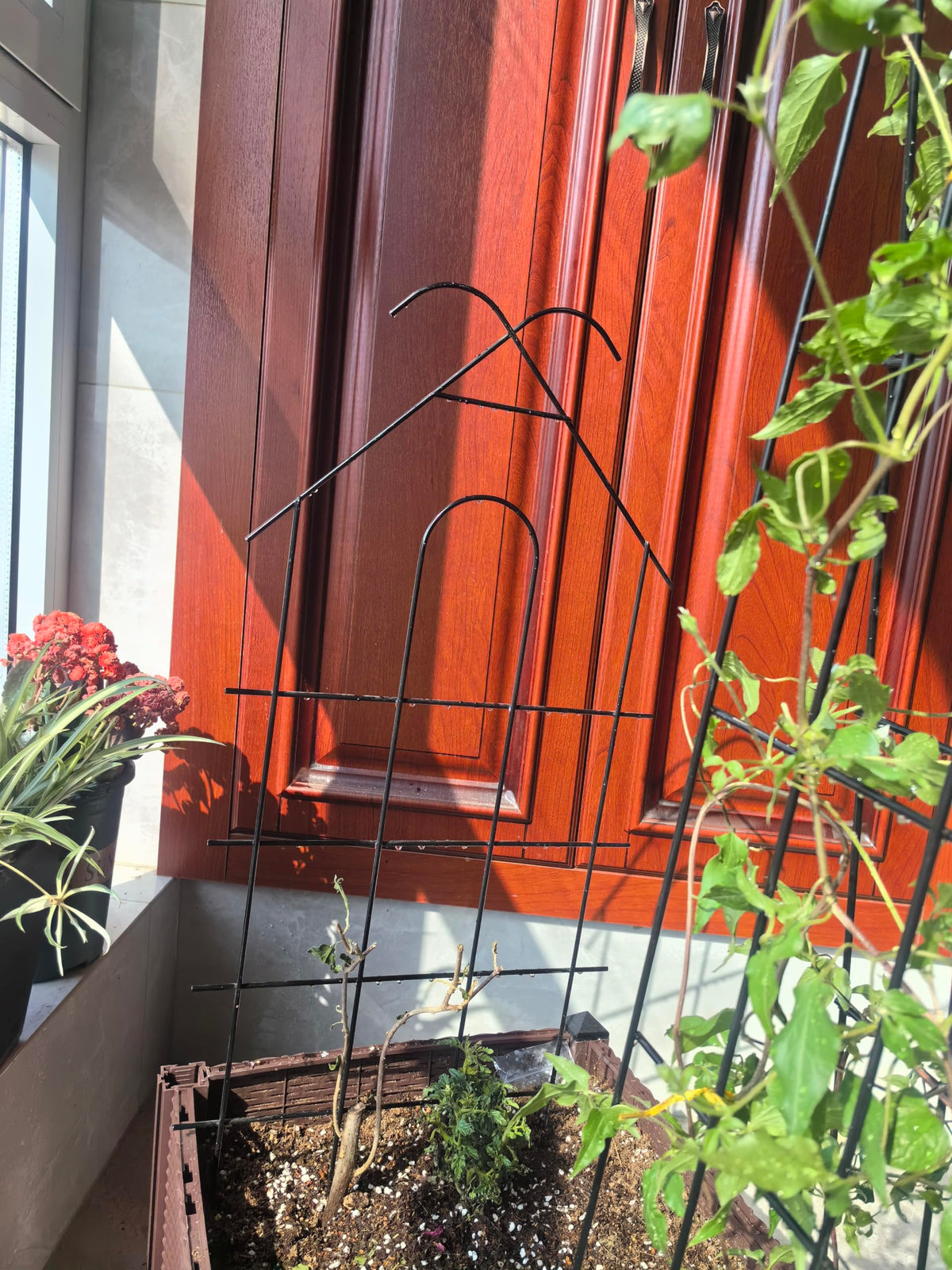 ARIFARO easy-insert trellis lets plants climb with minimal effort.