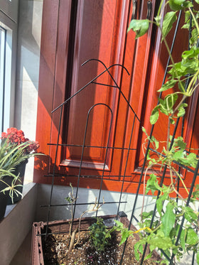 ARIFARO easy-insert trellis lets plants climb with minimal effort.