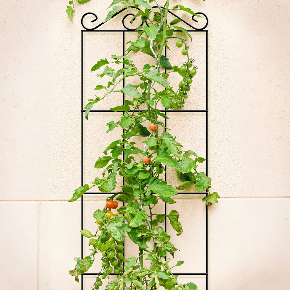 ARIFARO easy-setup trellis enables quick installation in any garden.
