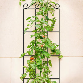 ARIFARO easy-setup trellis enables quick installation in any garden.