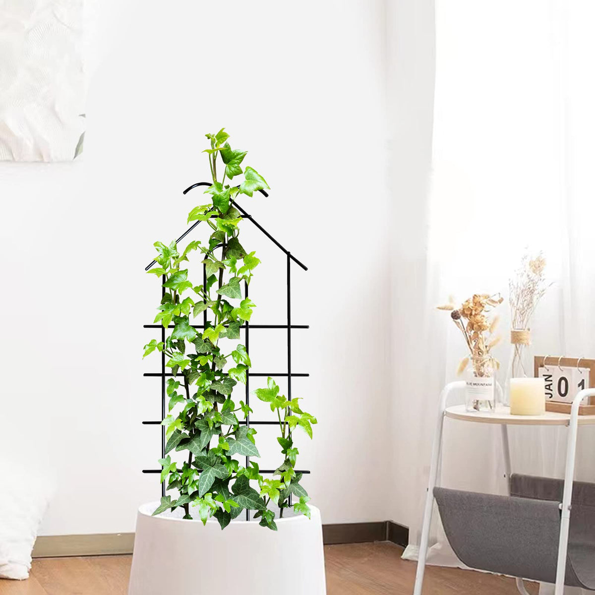 ARIFARO garden corner trellis aids vertical growth in small spaces.