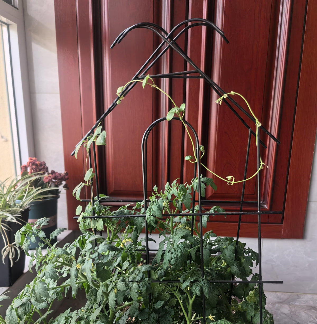 ARIFARO house-shaped trellis adds decorative structure to planters.