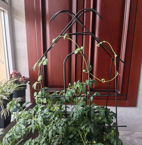 ARIFARO house-shaped trellis adds decorative structure to planters.