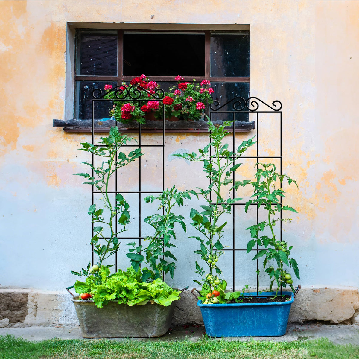 ARIFARO versatile trellis supports potted plants and vertical displays.