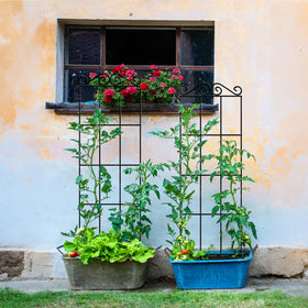 ARIFARO versatile trellis supports potted plants and vertical displays.