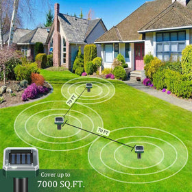 Eight pack display of Ariie Mole Repellent to protect multiple yard zones.