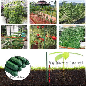 Arlai garden stakes used to create a trellis in a vegetable bed