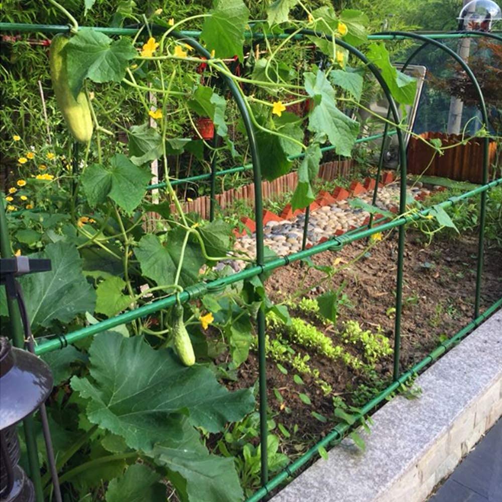Arlai multipurpose plant support ideal for beans peppers and lilies