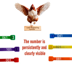 ARMLCL leg bands for chickens, ducks, and geese support flock management.