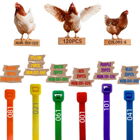 ARMLCL Vibrant 120pcs chicken leg bands in six colors for easy flock identification.