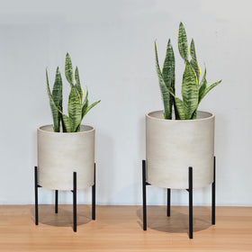ARNIS dirt-color metal planters enhance plant color and textures.
