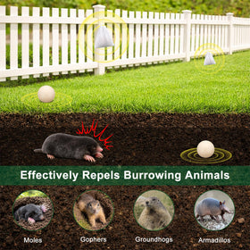 Aromovia mole repellent ball near a burrow opening deters digging activity