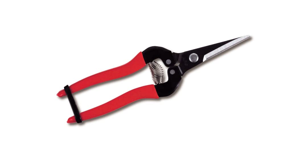 ARS HP-300L needle-nose pruner with ergonomic grip for precise fruit harvesting.