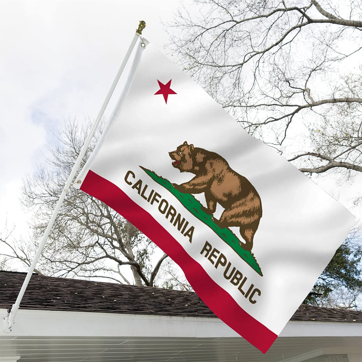 ARSOF California flag bear design features vibrant colors for striking outdoor display.