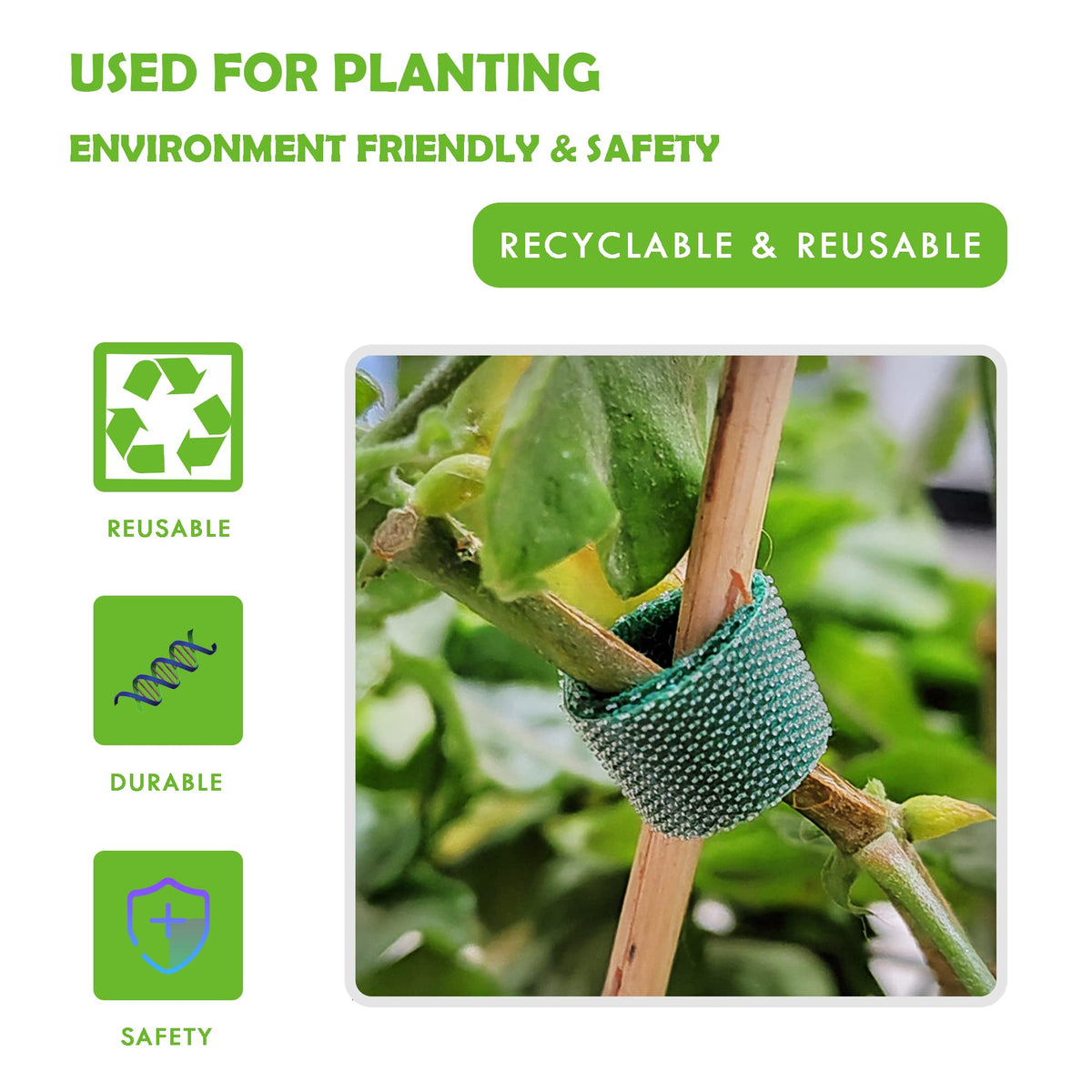ArtFamy Green Garden Ties supporting climbing vines gracefully.