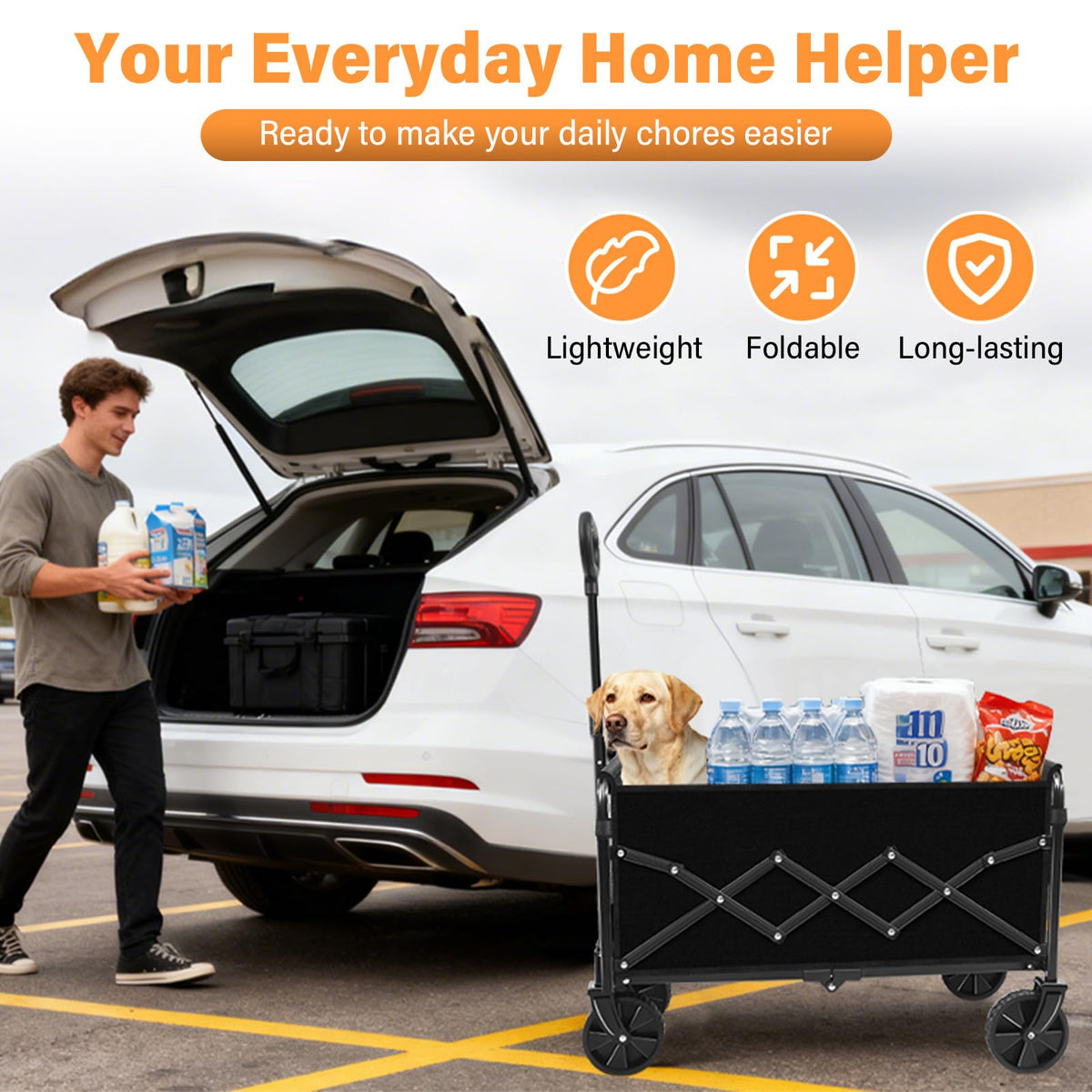 ARTIST'S DREAM wagon with 280 lb capacity for gear and coolers