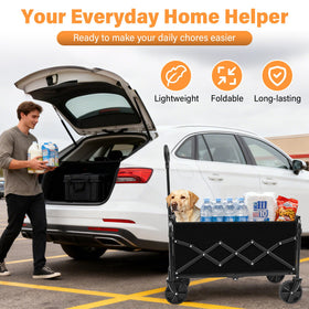 ARTIST'S DREAM wagon with 280 lb capacity for gear and coolers