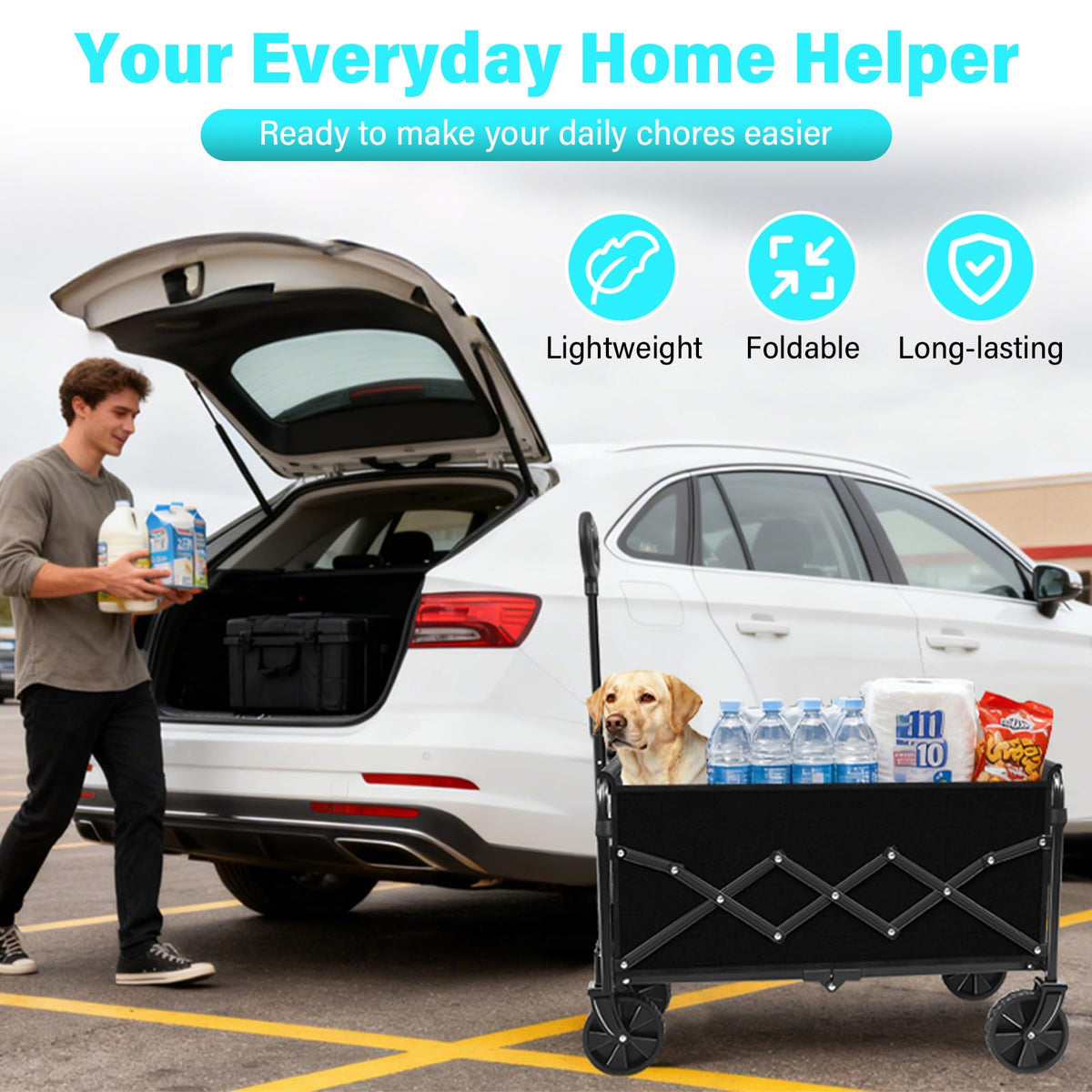 ARTIST'S DREAM durable frame supports frequent daily hauling