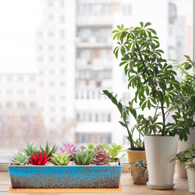 ARTKETTY rectangle blue planter for home decor, a contemporary centerpiece.