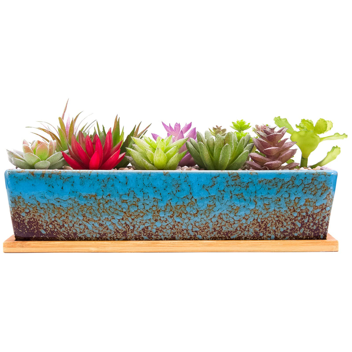 ARTKETTY succulent pots blue rectangle—ideal for vibrant indoor displays