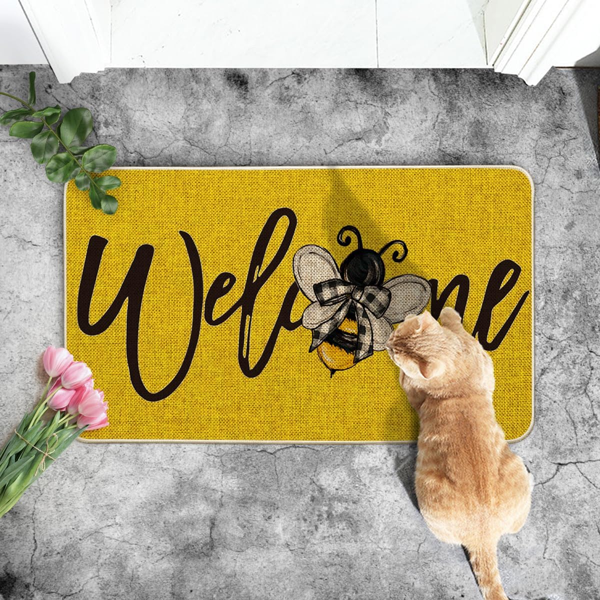 Artoid Mode indoor-outdoor entryway doormat suitable for multiple spaces
