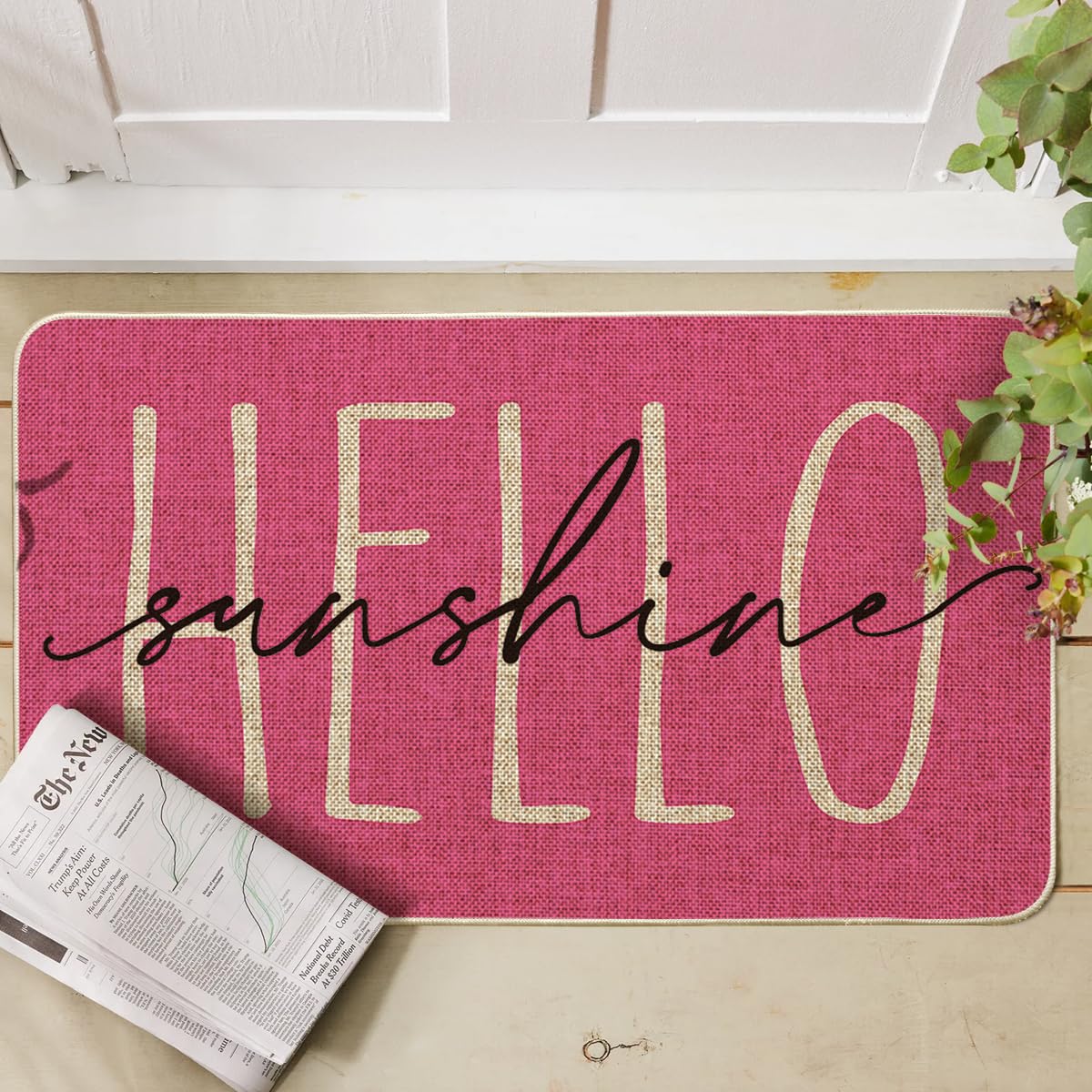 Artoid Mode doormat on porch entryway highlights indoor-outdoor versatility and quick cleaning