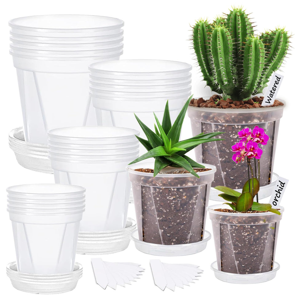 Artuxer clear 4-inch nursery pot with saucer for seedling growth and drainage visibility.