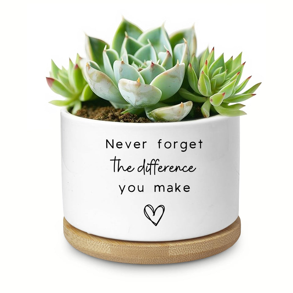 Aryabtya cute succulent planter on a desk adds charm and organization.