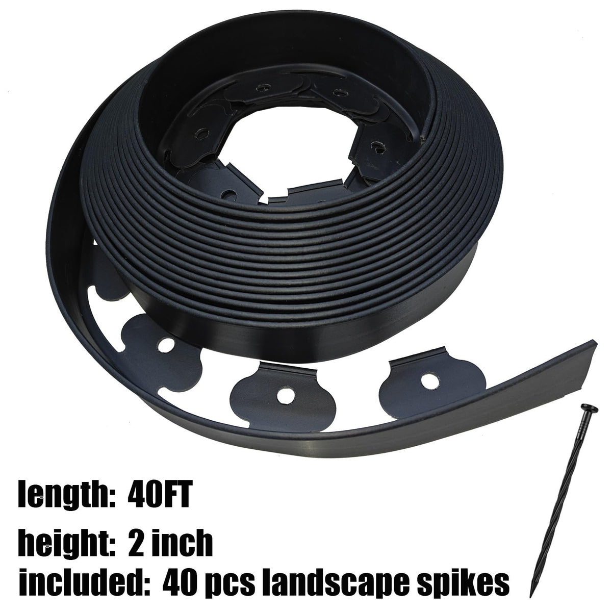 Asoleo Lawn Border Spikes show secure installation for defined edges.