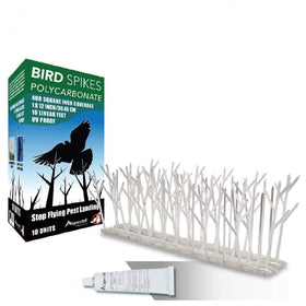 ASPECTEK Bird Spikes Kit with adhesive glue for quick, durable rooftop installation.