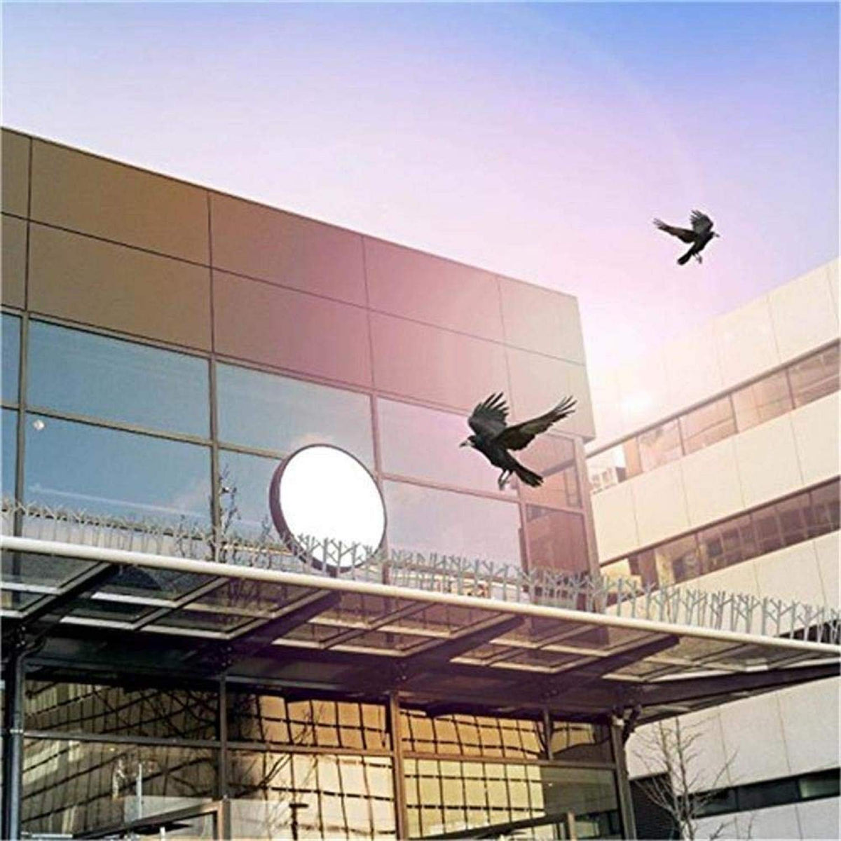 ASPECTEK durable polycarbonate spikes reduce maintenance while protecting property aesthetics.