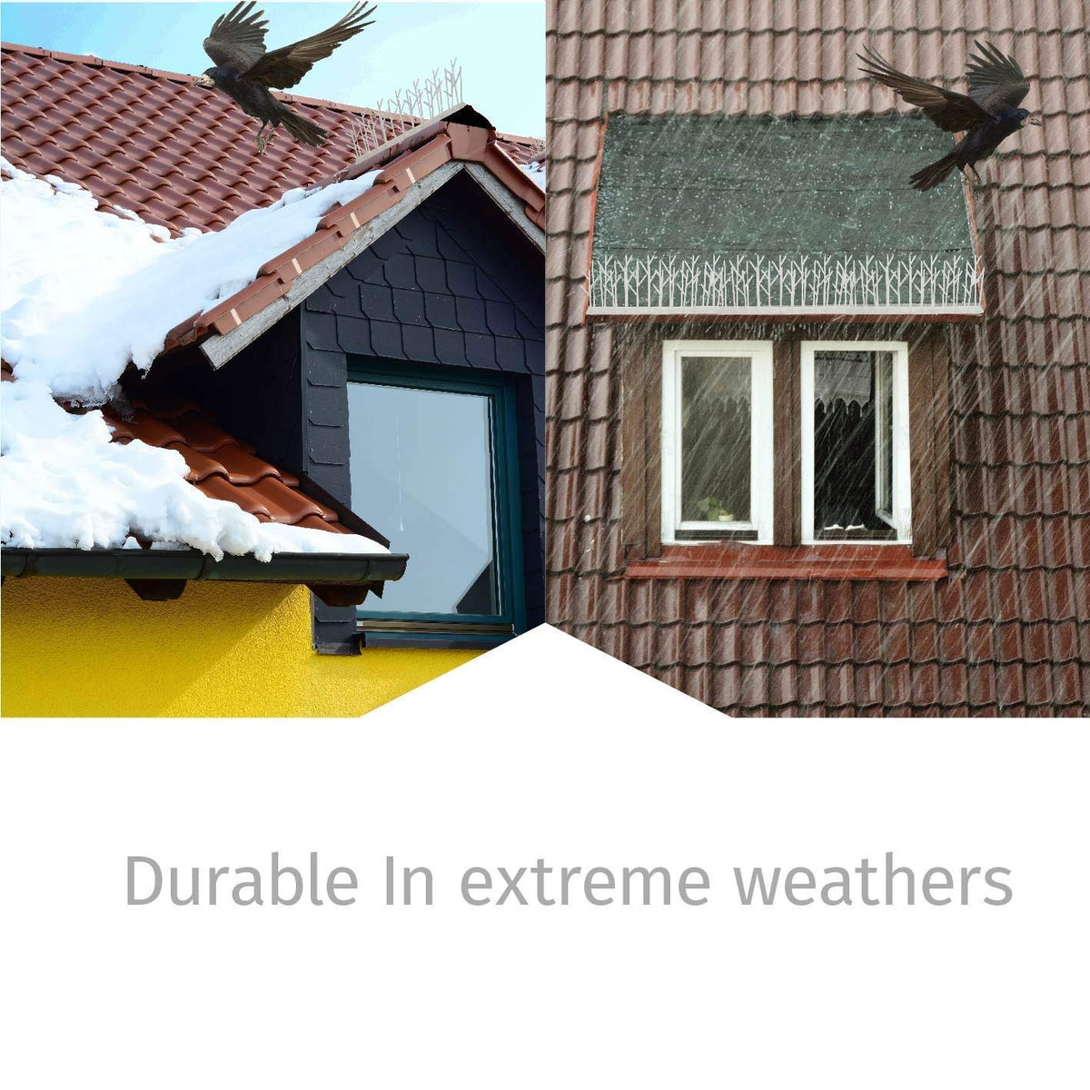ASPECTEK humane deterrent helps deter pigeons and other birds without harm.