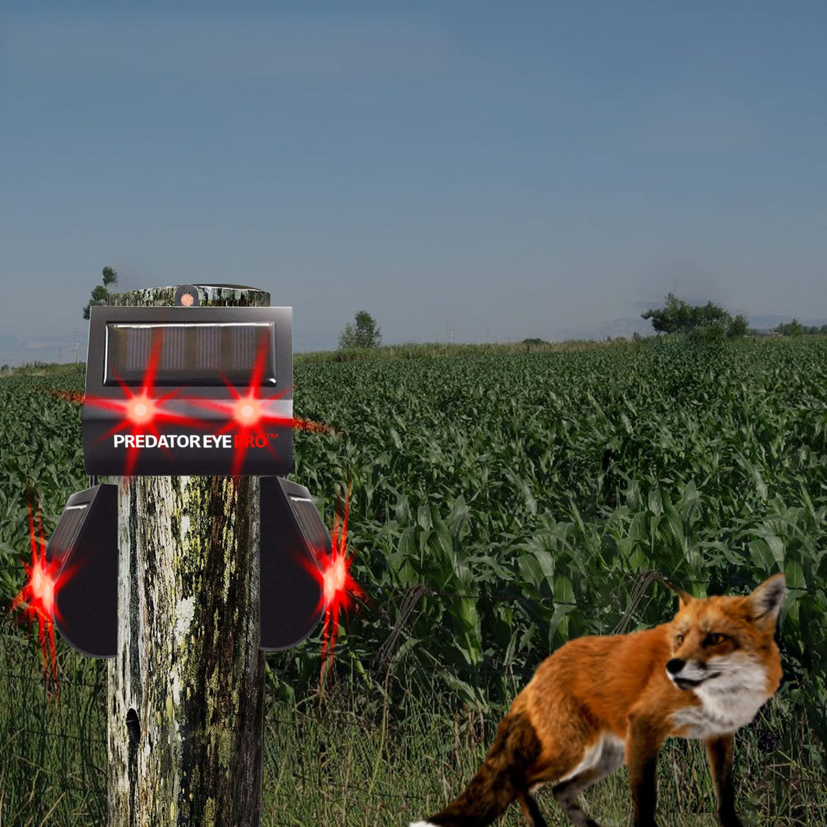 ASPECTEK Predator Eye Pro with two flashing red lights for deterrence.