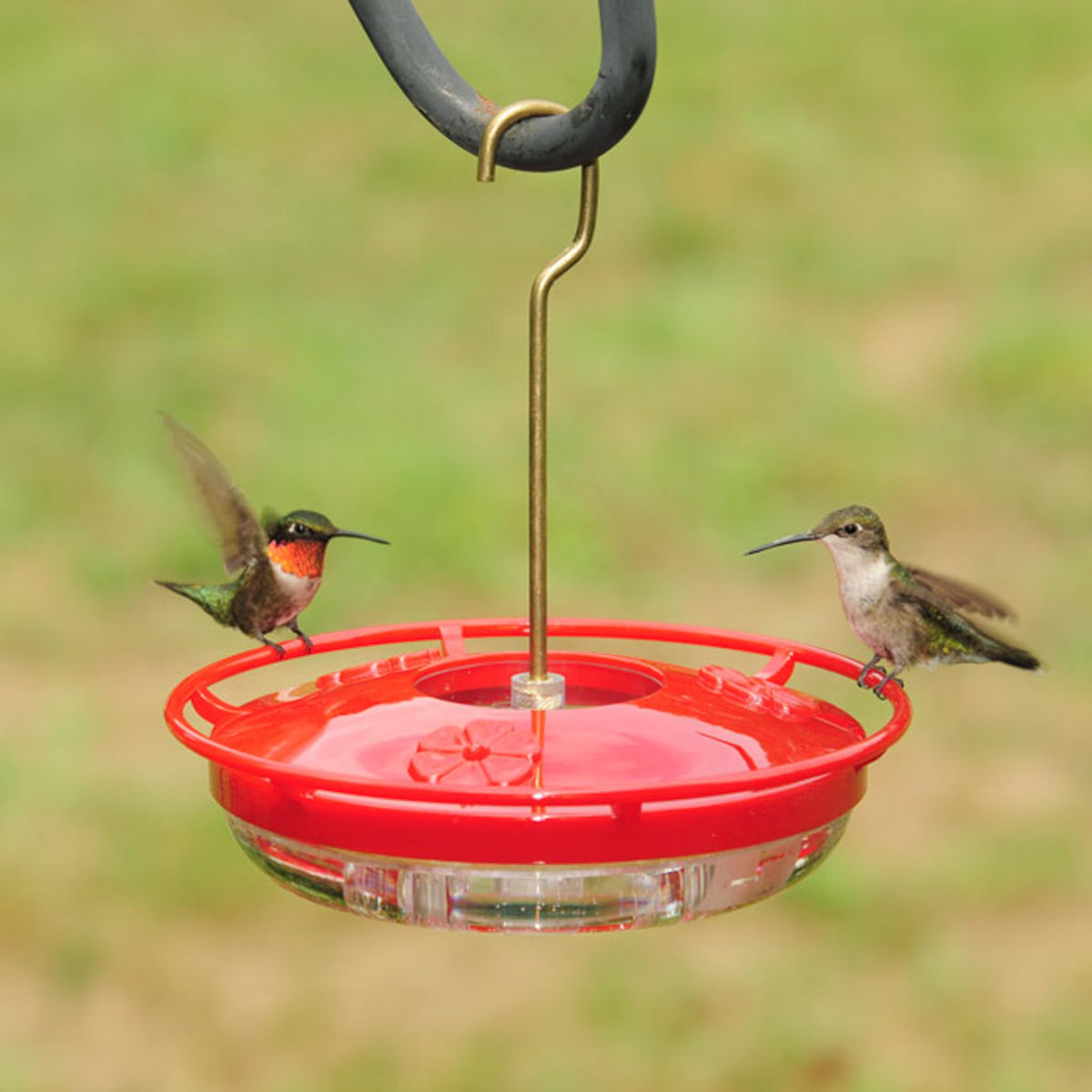 Aspects 430 Hummzinger feeder side view highlights compact mini design for small spaces.