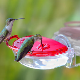 Aspects Gem Window Hummingbird Feeder side view highlights compact window-friendly design